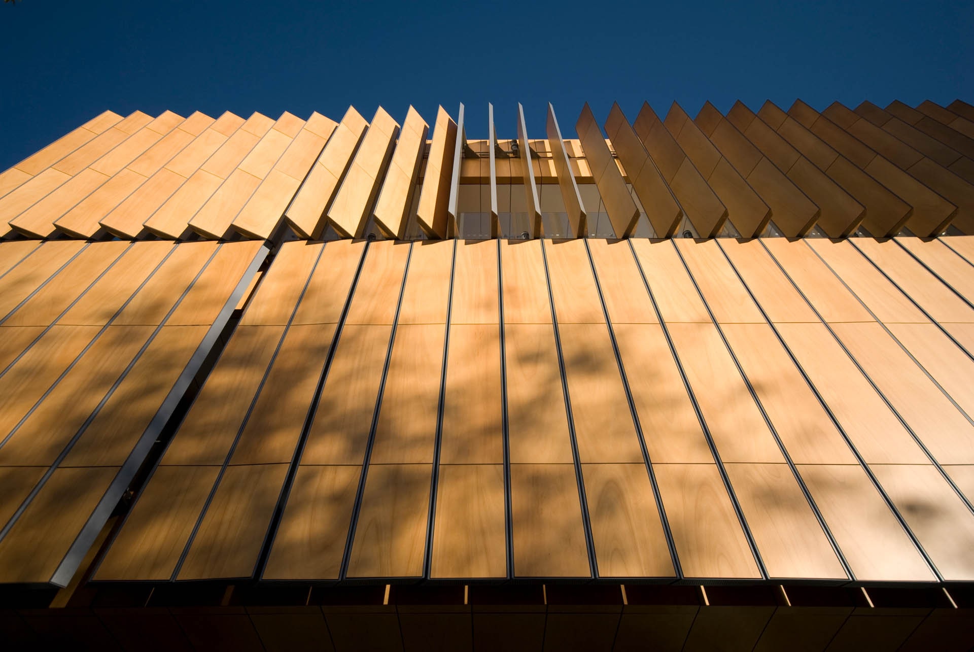 Surry Hills Library + Community Centre