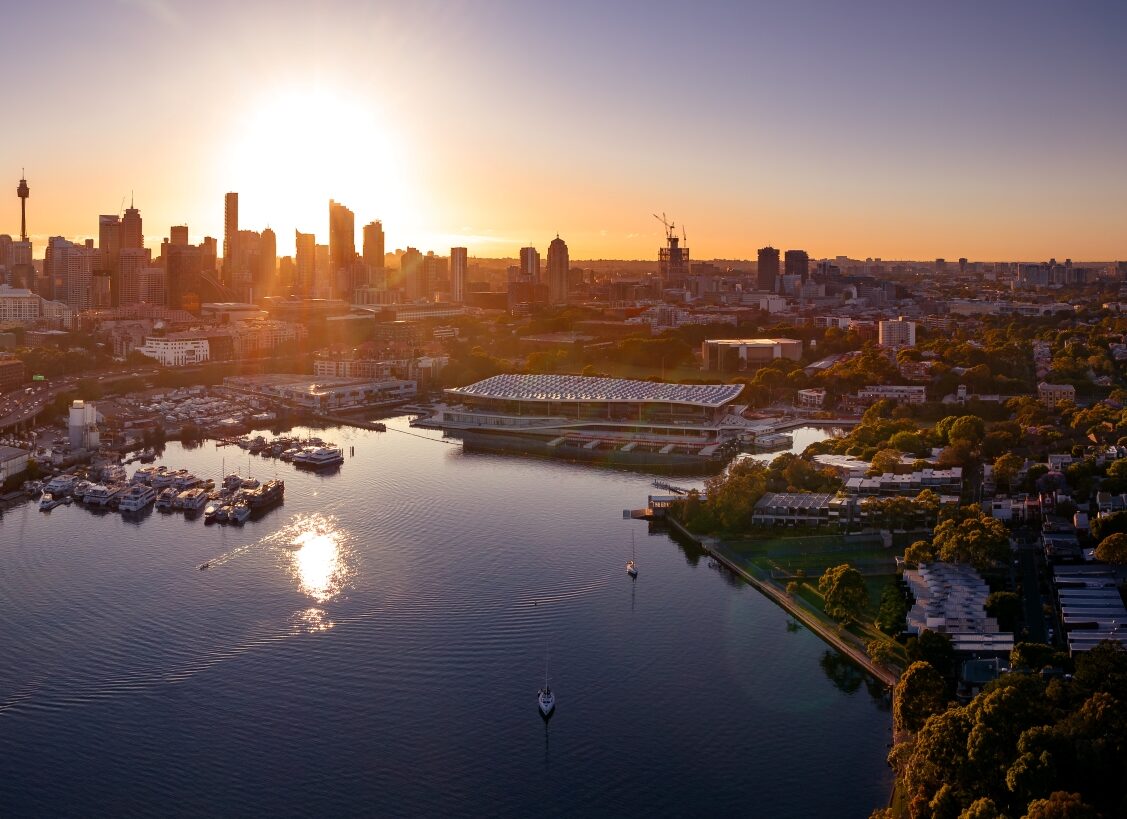 The New Sydney Fish Markets