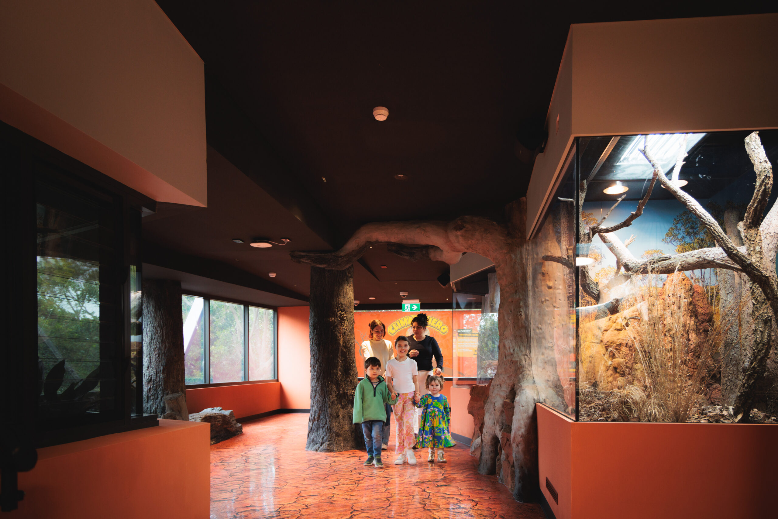 Taronga Zoo Reptile + Amphibian Centre