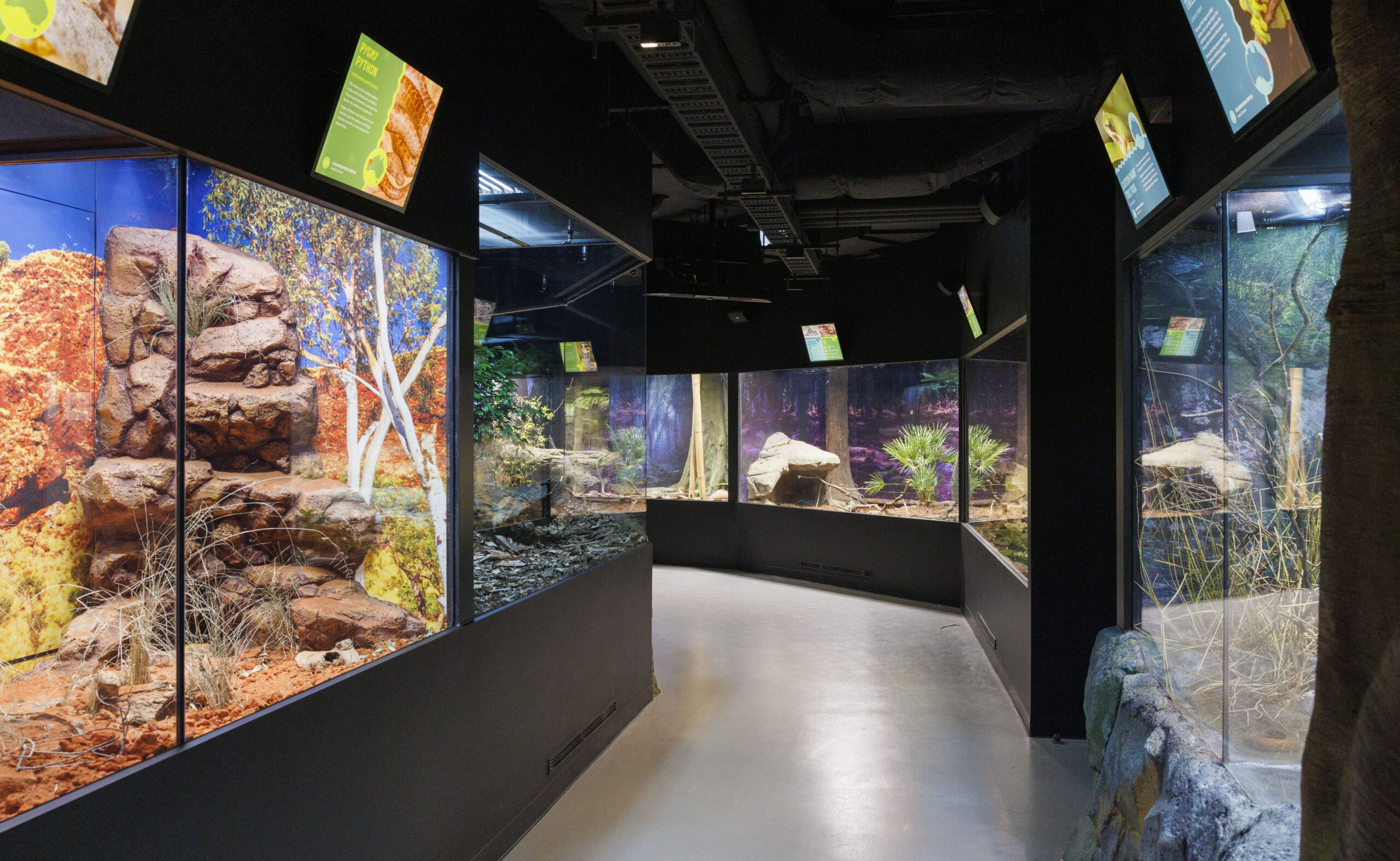 Taronga Zoo Reptile + Amphibian Centre