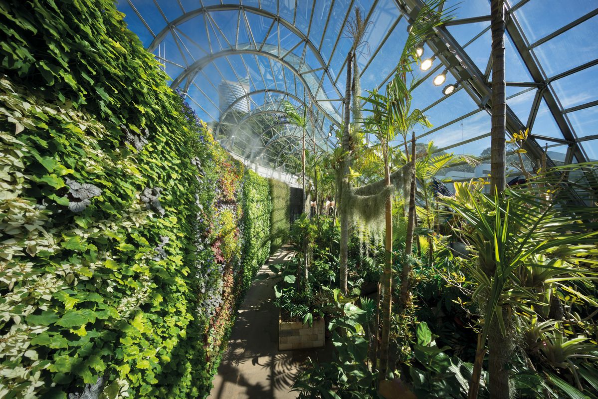 The Calyx