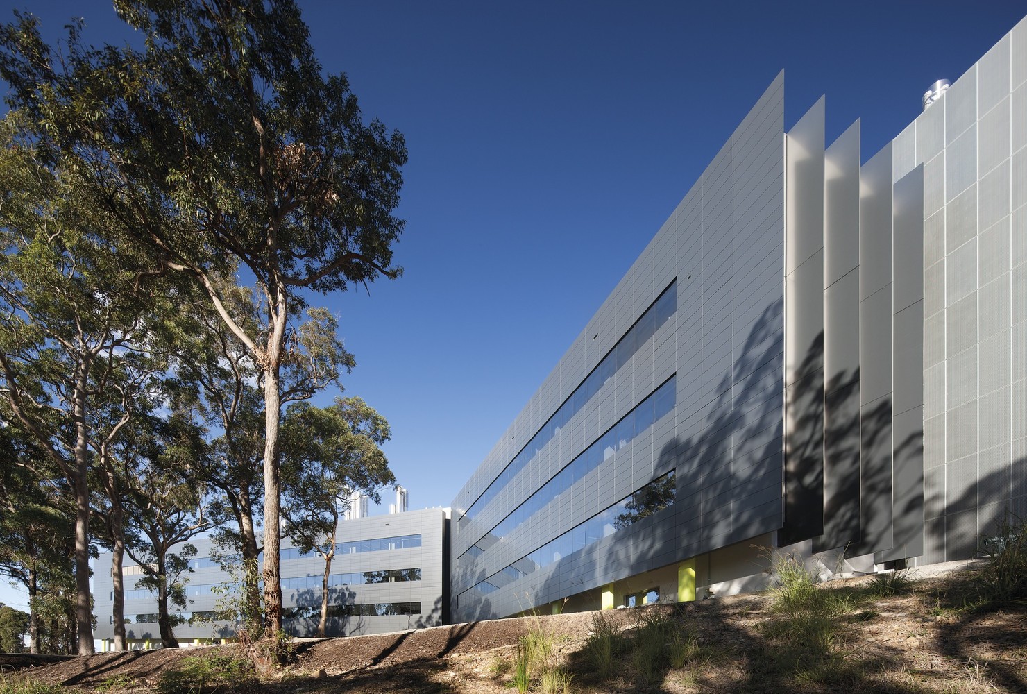Hunter Medical Research Institute | HMRI