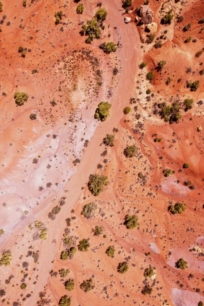 UNSW Sydney | Fowlers Gap Research